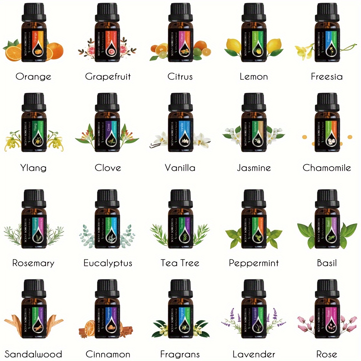 Ensemble de 20 huiles essentie - Perfume Fragrance Oil avis et prix